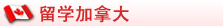 留学加拿大