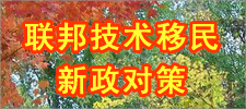 联邦技术移民新政对策